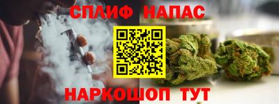 спайс Аша